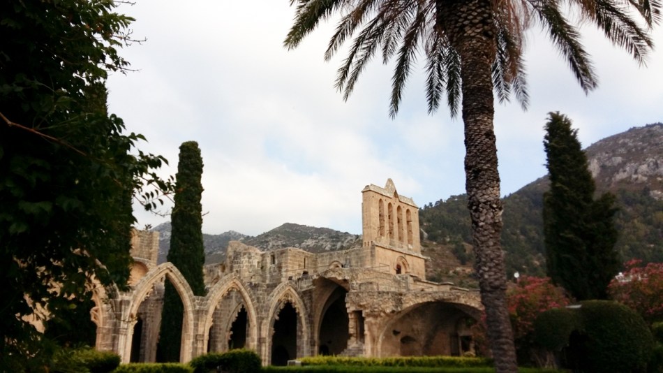 2015-07-24 17.50.06.jpg