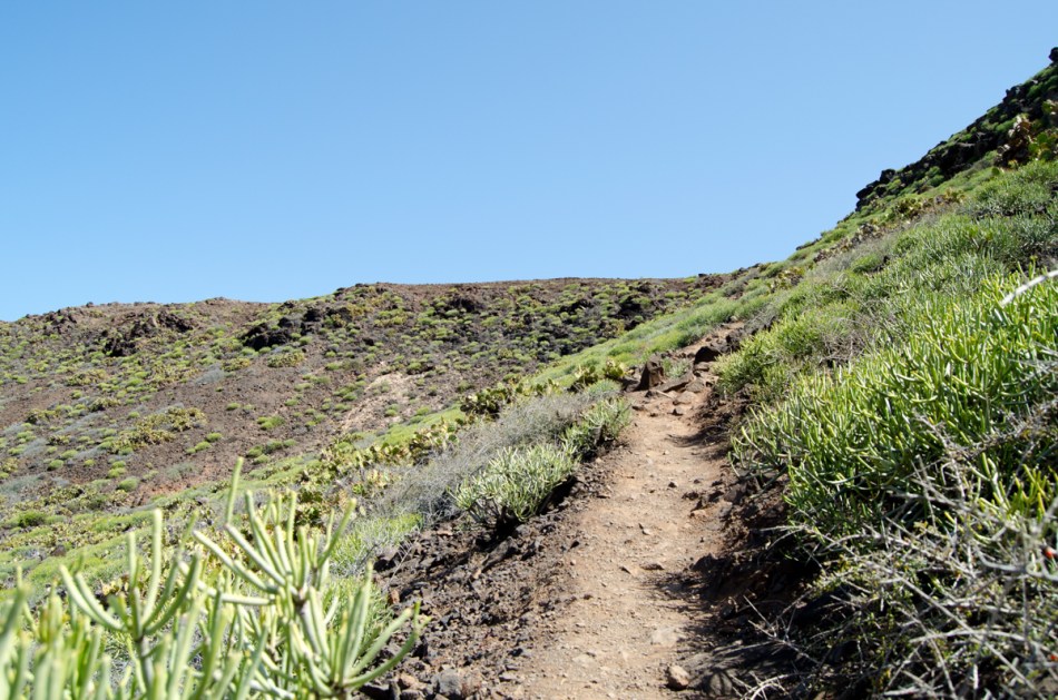 Gran Canaria Isleta-0270