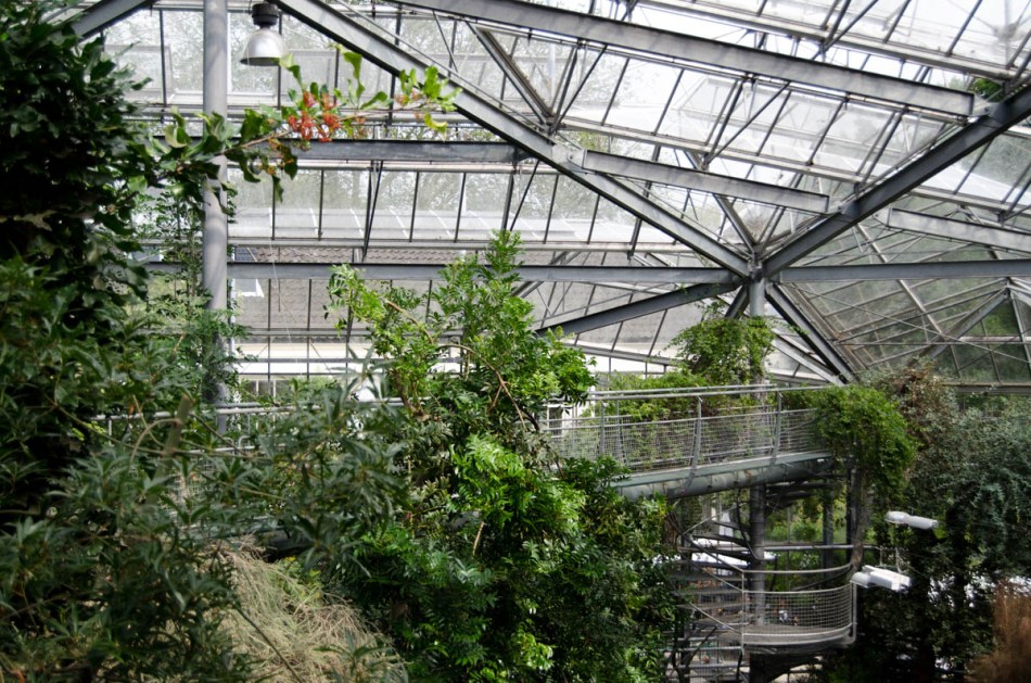Hortus Botanicus Amsterdam-16