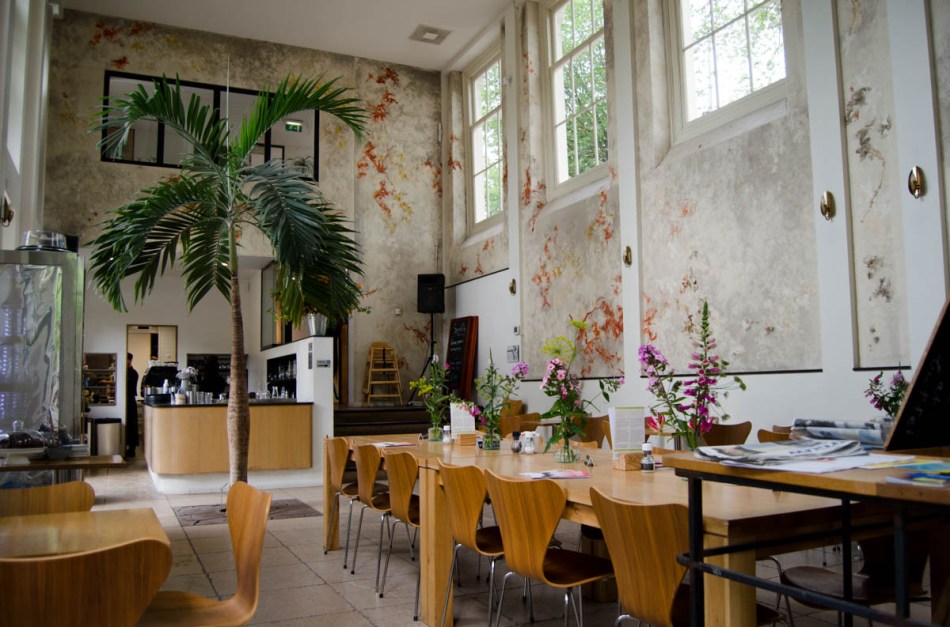 Hortus Botanicus Amsterdam-8