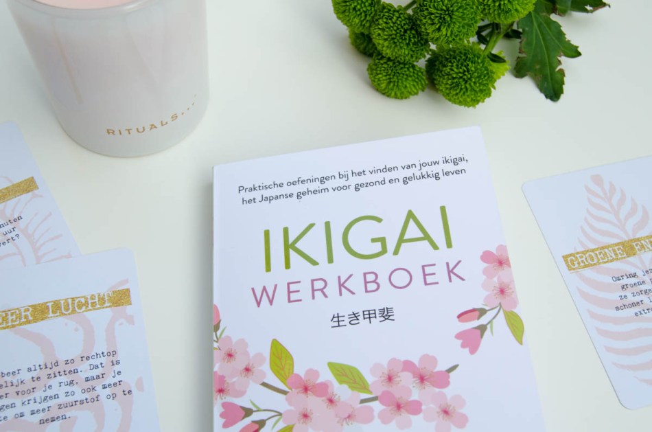 Ikigai werkboek