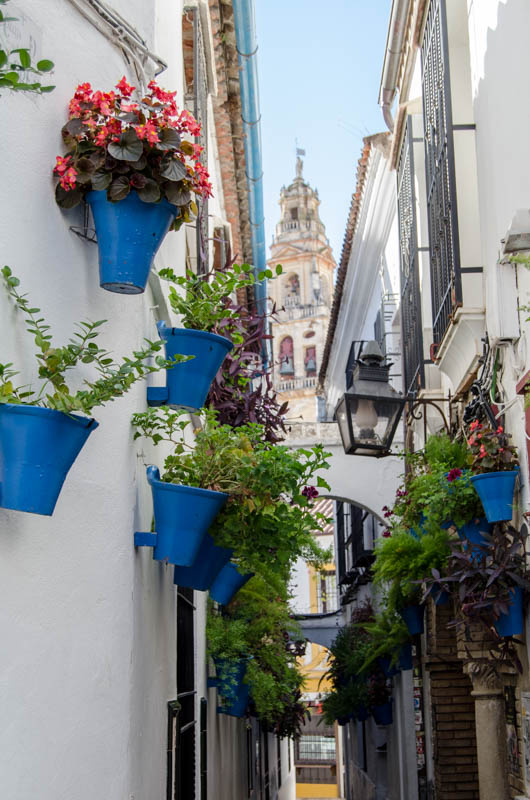 Rondreis Andalusië bezienswaardigheden Cordoba-38