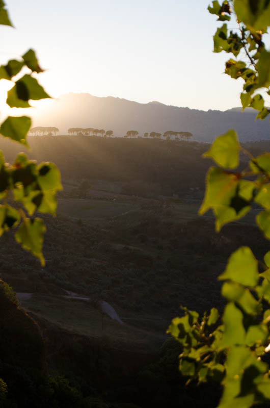 Rondreis Andalusië Ronda-33